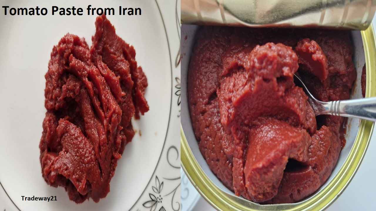 Tomato Paste from Iran Best Price Shiraz