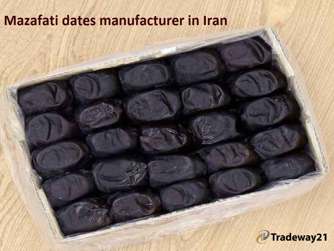 Buy Mazafati dates from Iran | Mazafati dates in Iran price