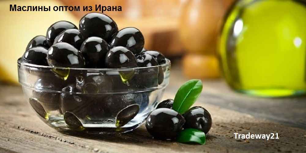 Маслины оптом из Ирана Производитель